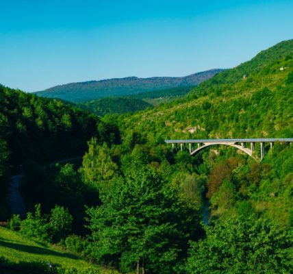 Séjourner au cœur des volcans : pourquoi choisir un gîte dans le puy-de-dôme ?