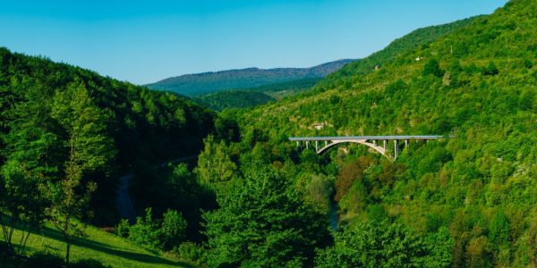 Séjourner au cœur des volcans : pourquoi choisir un gîte dans le puy-de-dôme ?